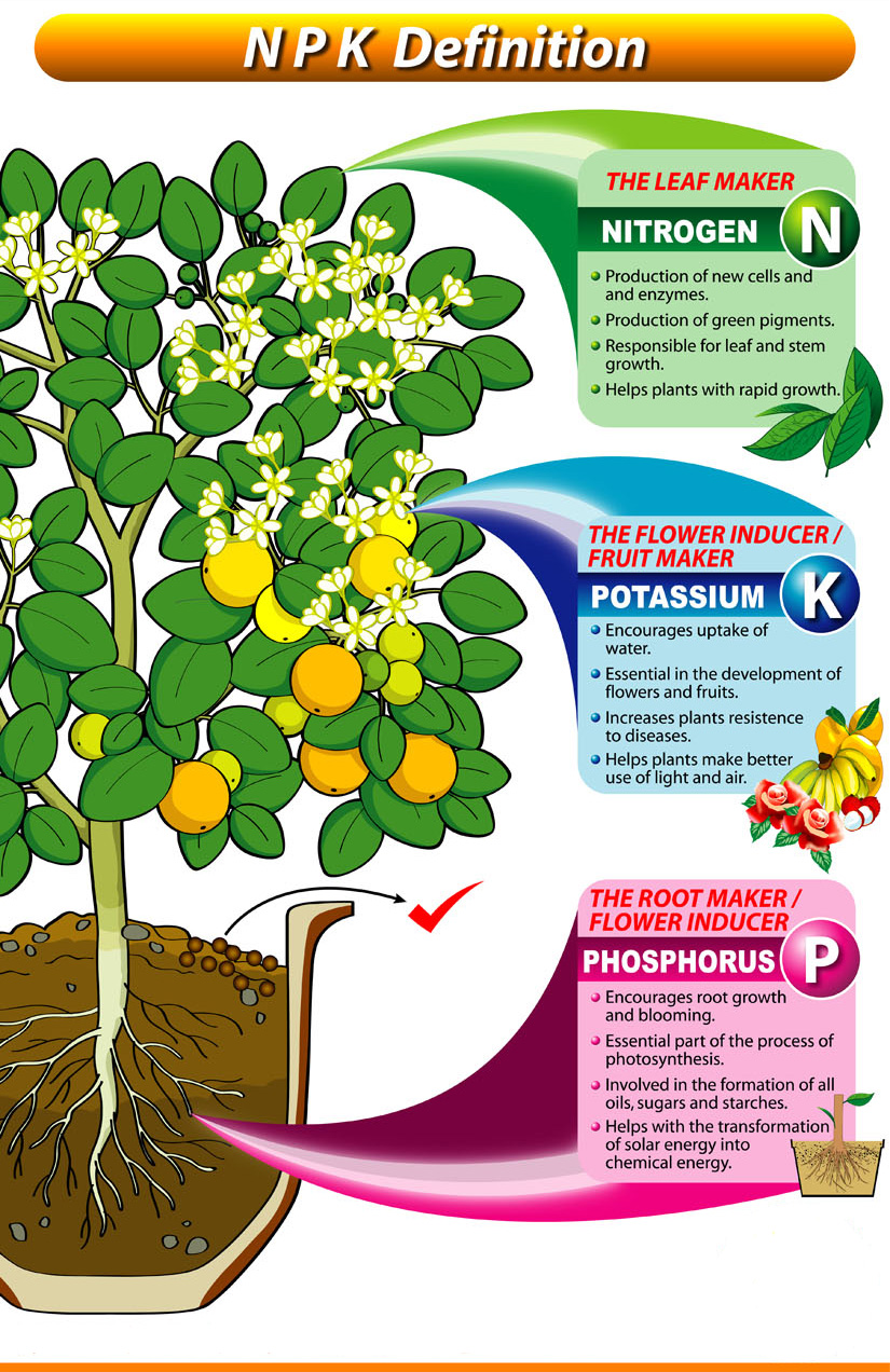 understanding npk fertilizers | grab n' grow soil products