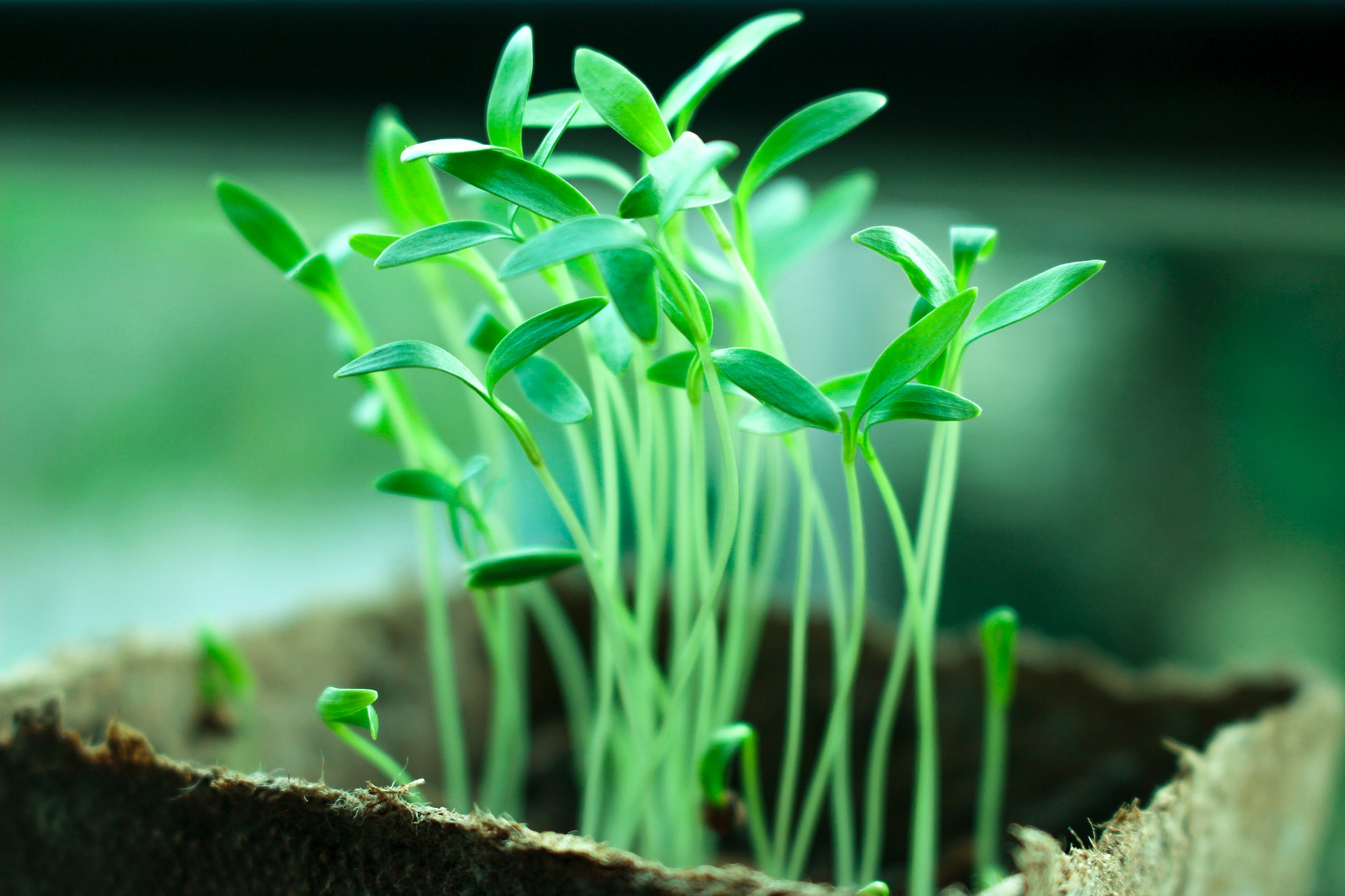 Resources For Planting A Garden Grab N' Grow Soil Products