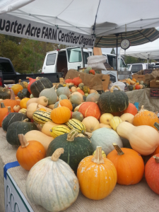 when-to-harvest-winter-squash-pumpkins-gourd