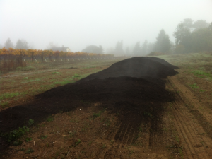 making-compost-at-home