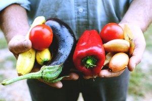 Jesse with a fresh harvest. Photography by Janae Alyssa Lloyd