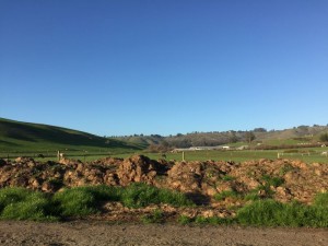 First Light Farm in Petaluma