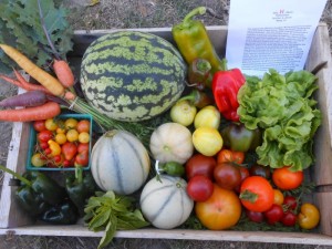 Red H Farm CSA box