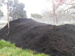 Fresh Compost at Red H Farm