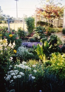 Wendy Krupnick's Home Garden