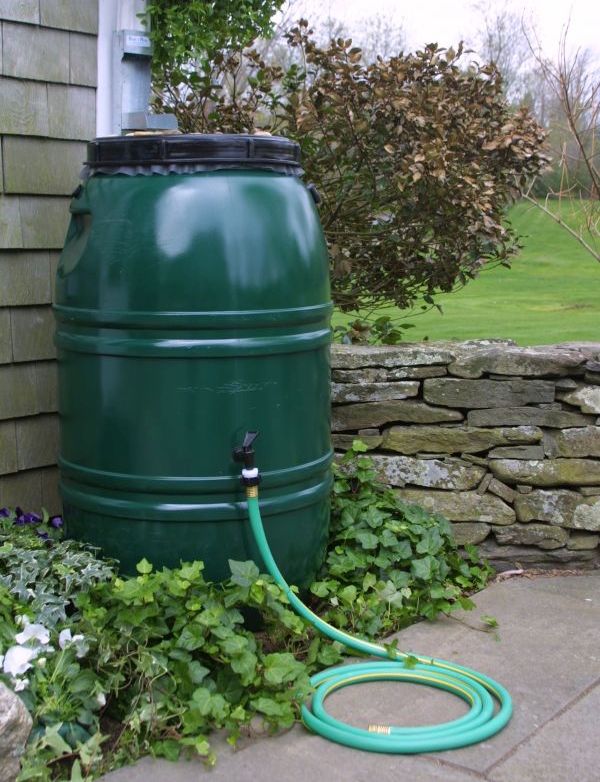 rain-barrel