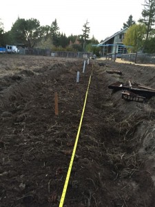 Planting Flower Bulbs At B-Side Farm