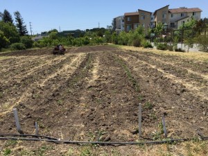 Planning Crop Rotations