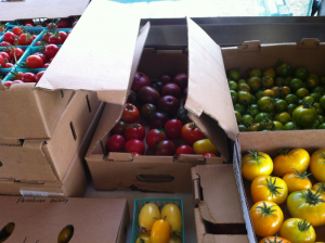 A harvest of fresh tomatoes for Saltwater Oyster Depot