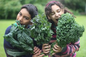 We've found some fun recipes that you can make from your kale harvest that your kids might even eat!