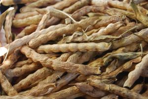 Dry beans ready for shelling