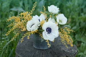 Anemones are a great annual spring flower