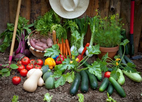 garden resolutions: which crops to plan for