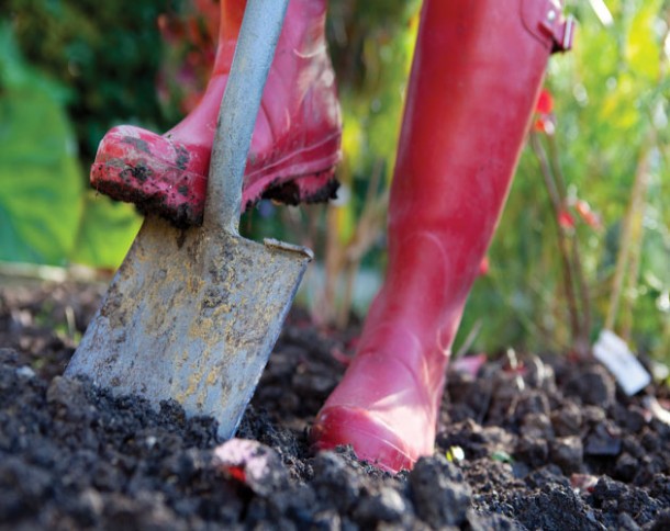 wet soil spring