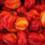 habaneros-499057_640