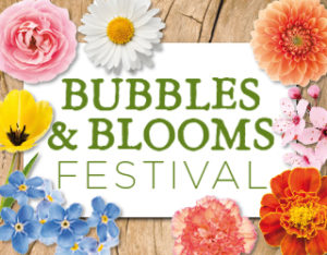 Bubbles-Blooms-300x250-3